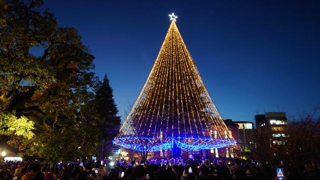 クリスマス・イルミネーション（今出川）１  (117127)