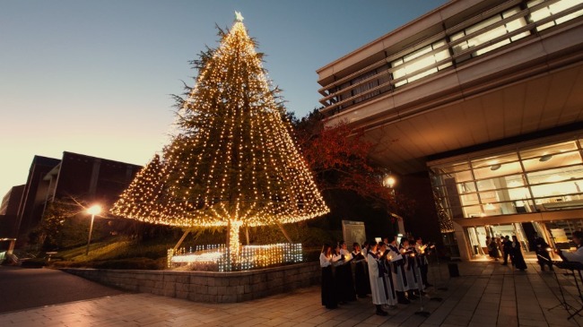クリスマス・イルミネーション（京田辺）１   (117129)