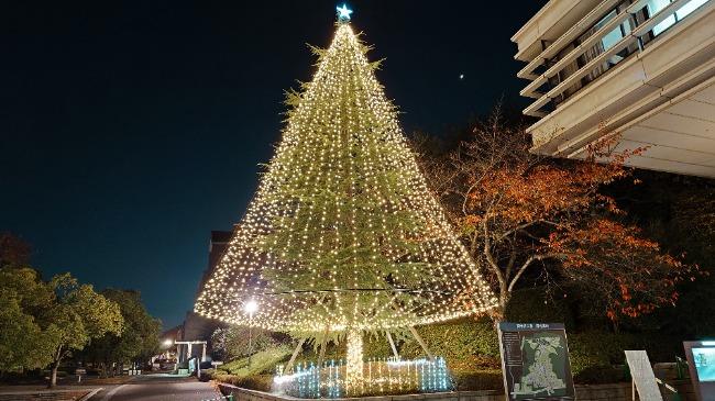 クリスマス・イルミネーション（京田辺）２  (117130)